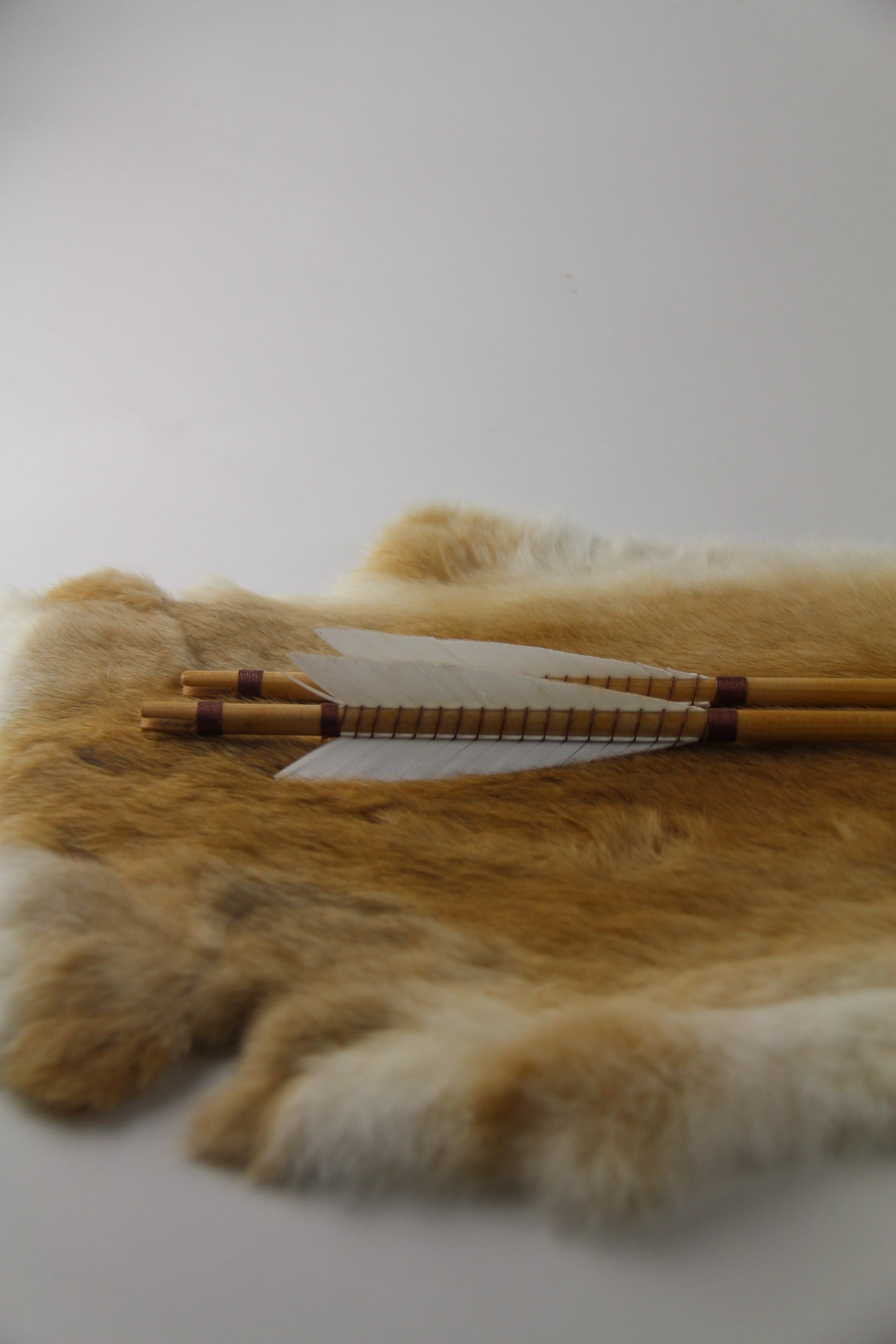 Whistling Arrows - Detail View