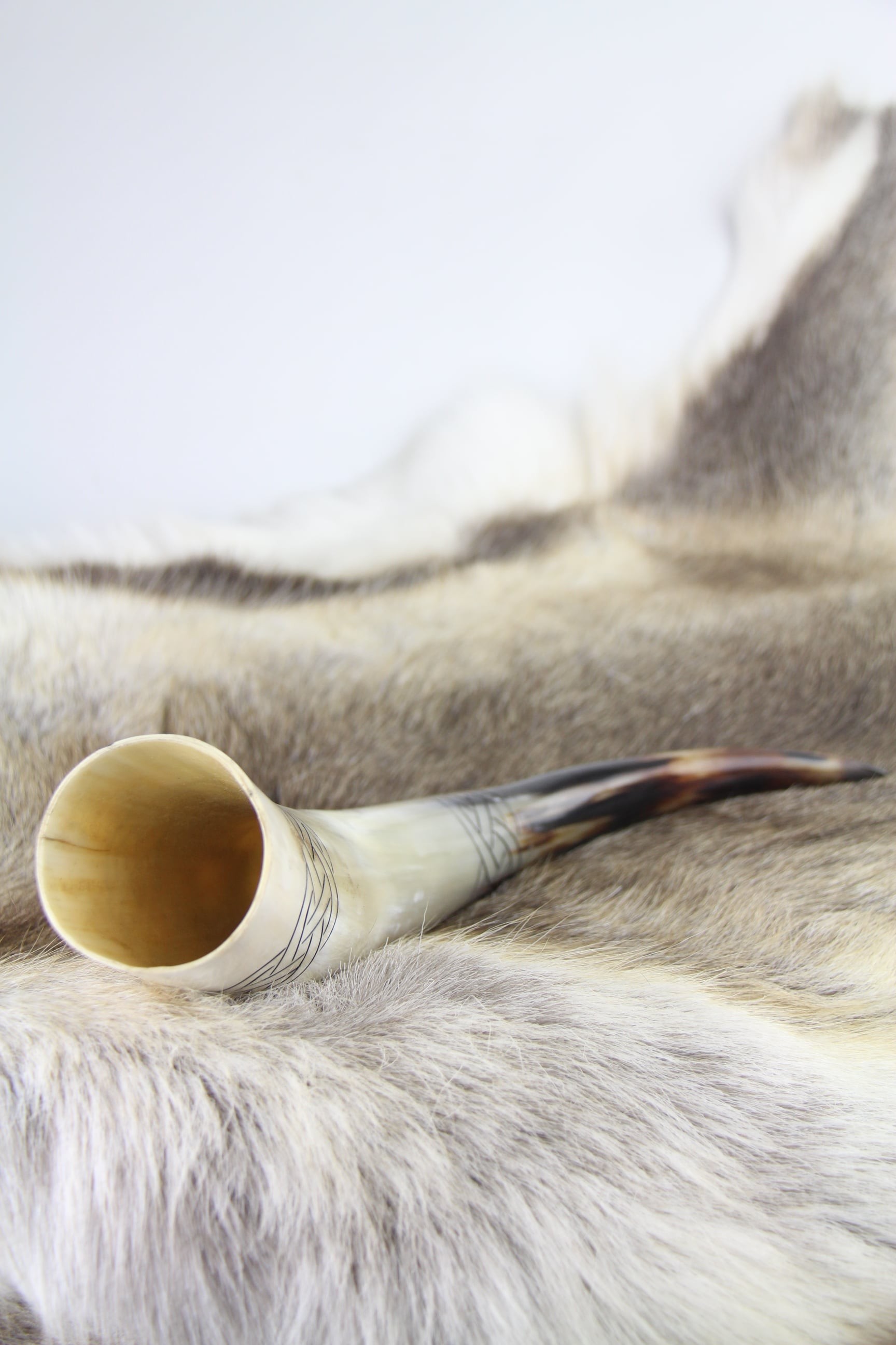 Odin's Drinking Horn - Detail View