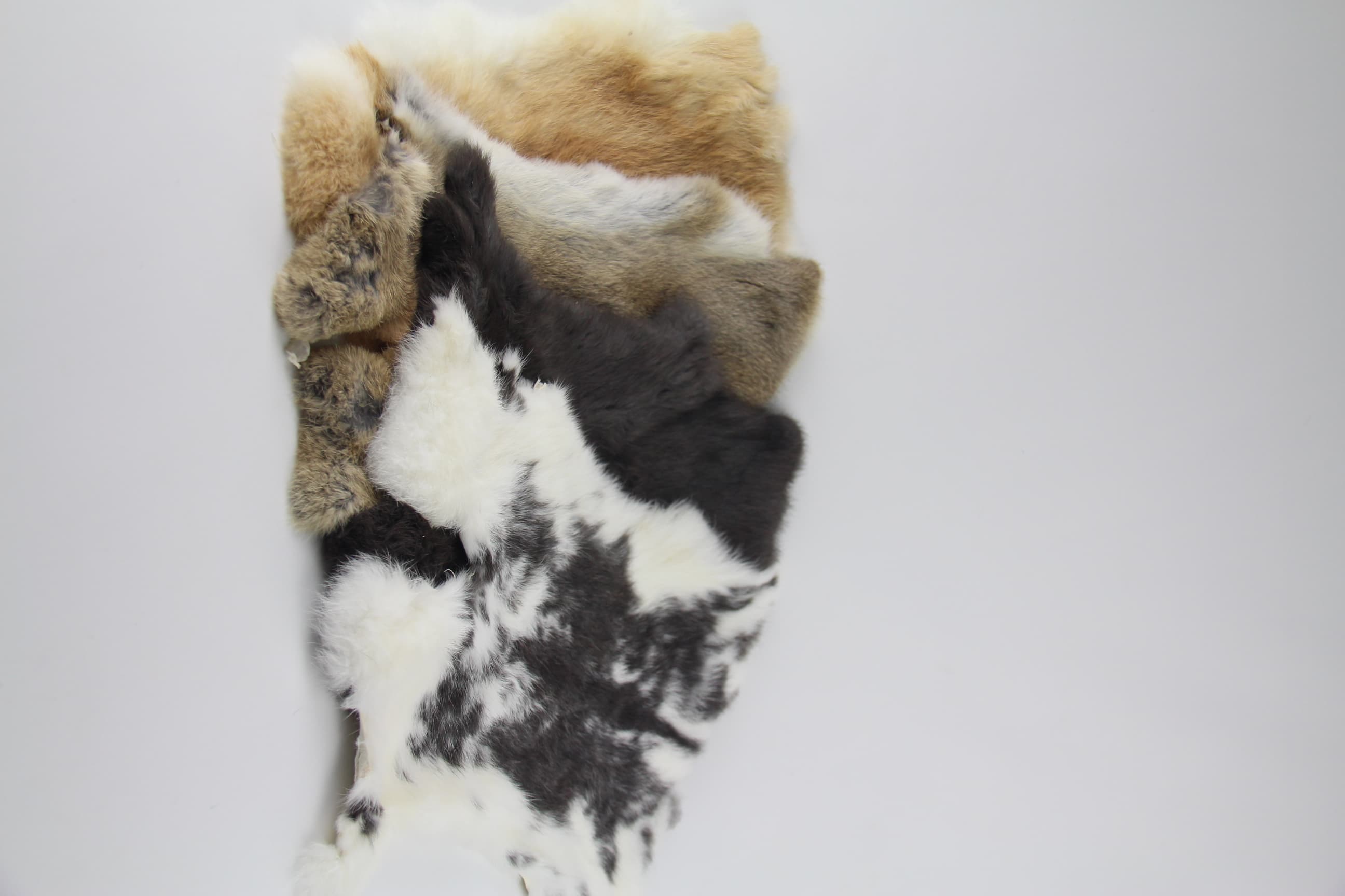 Rabbit Fur