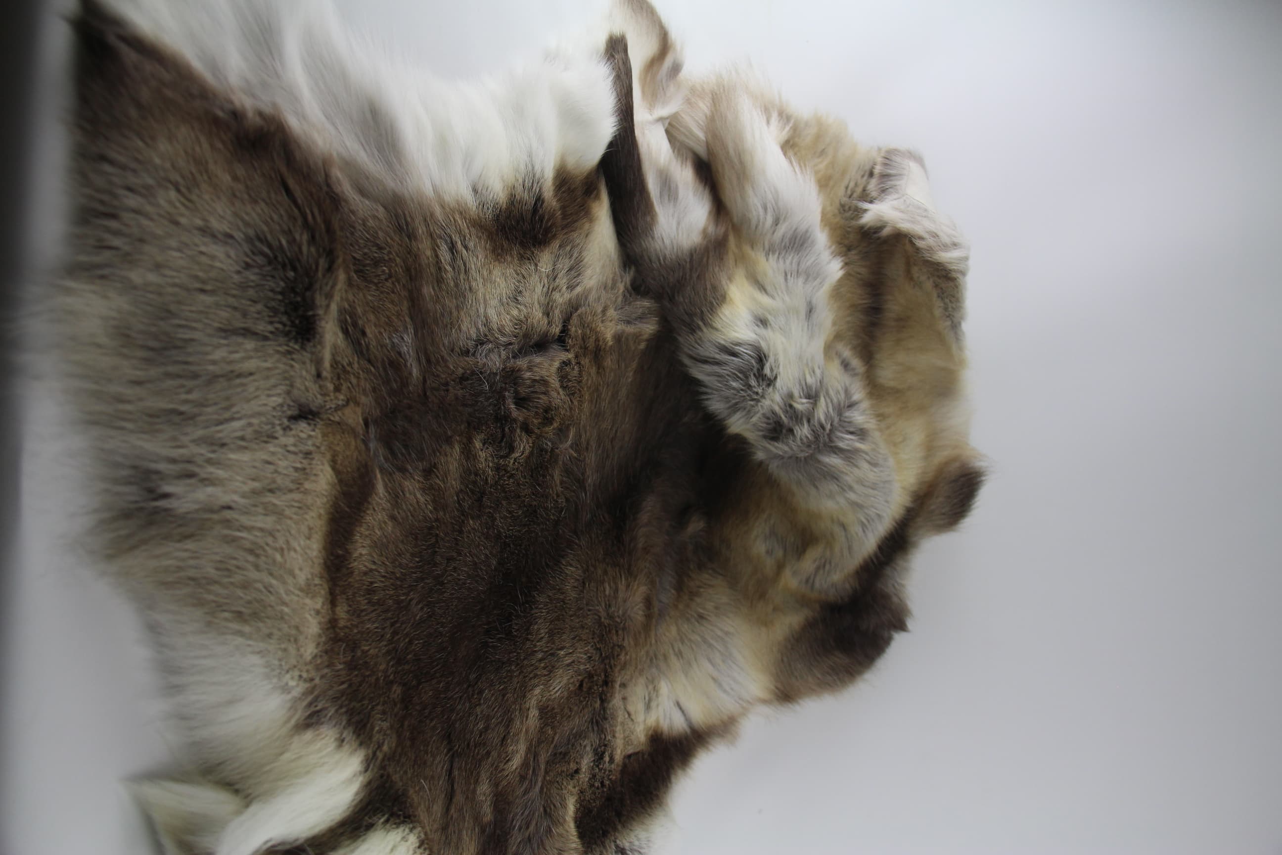 Reindeer Fur - Detail View