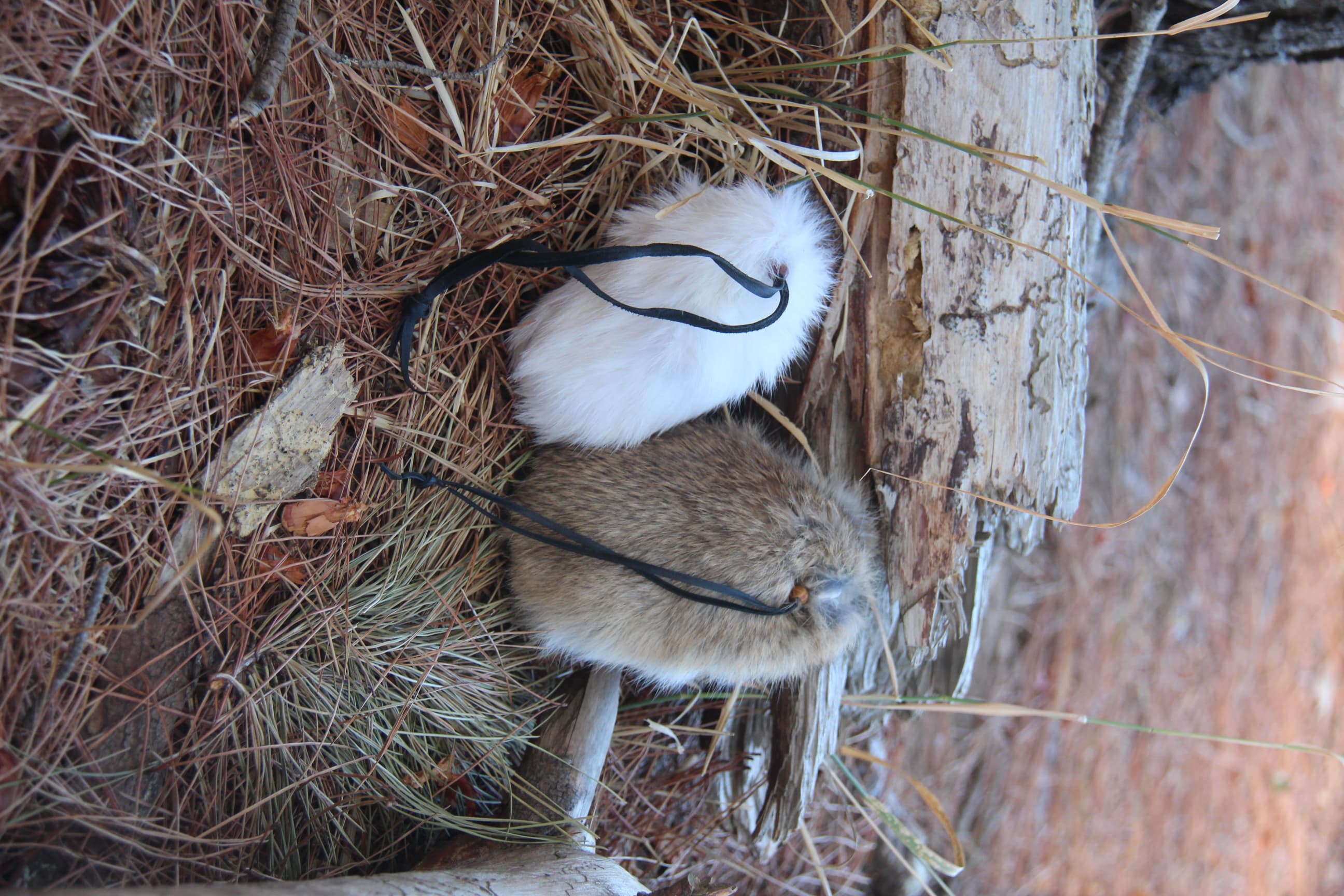 Medieval Rabbit Coin Pouch