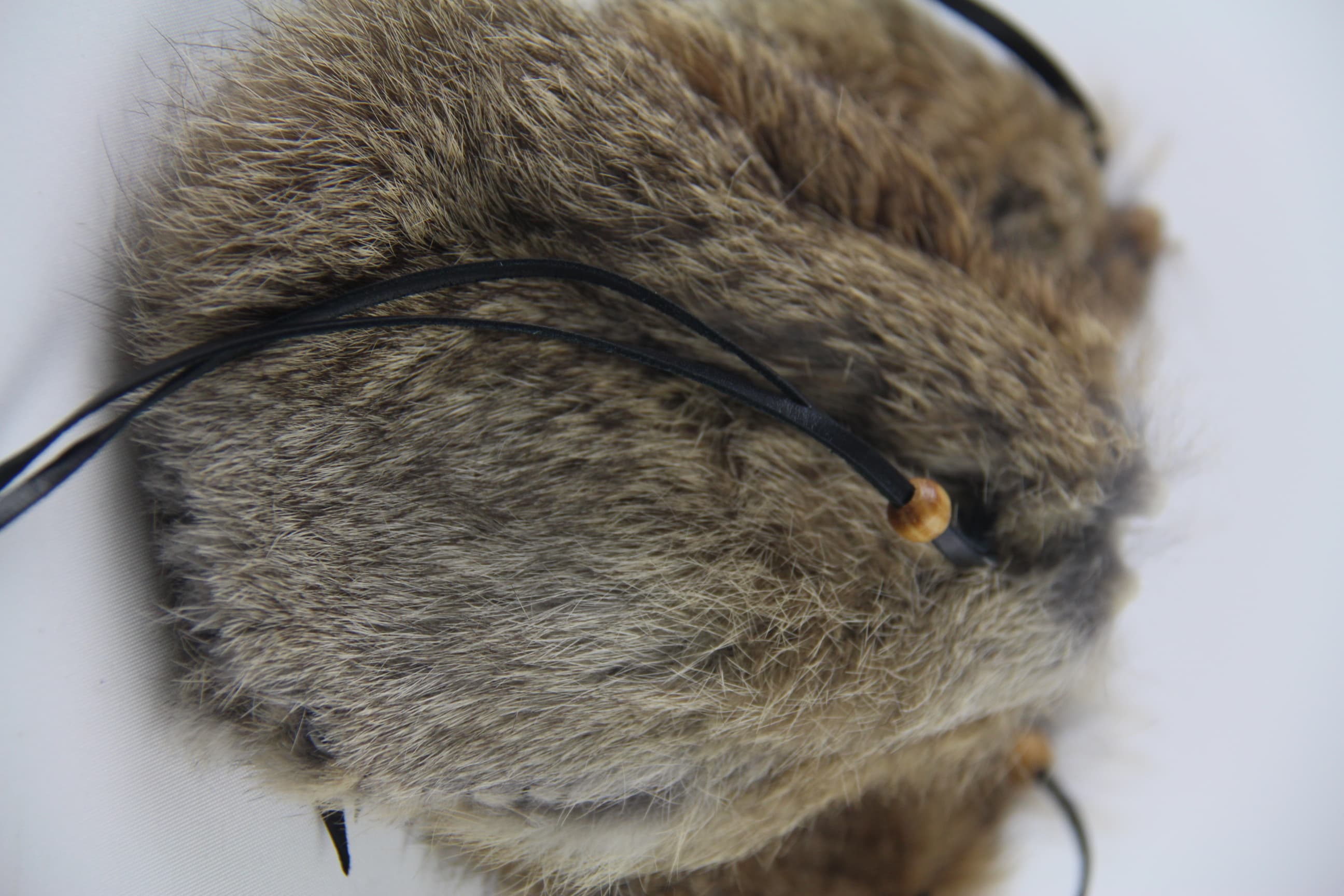 Medieval Rabbit Coin Pouch - Side View